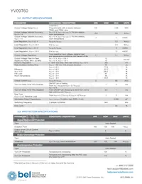 YV09T60-0G Datasheet Page 3