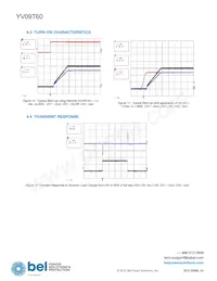 YV09T60-0G Datasheet Page 6