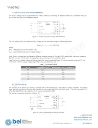 YV09T60-0G Datasheet Page 8