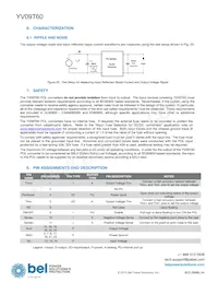 YV09T60-0G Datasheet Page 10