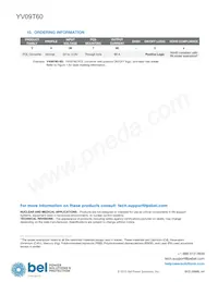 YV09T60-0G Datasheet Pagina 12