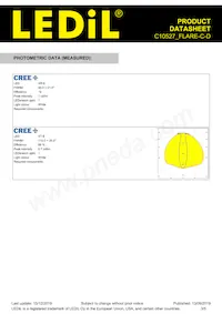 C10527_FLARE-C-D Datasheet Pagina 3