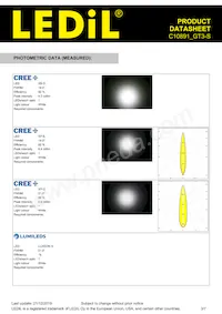 C10891_GT3-S Datasheet Page 3