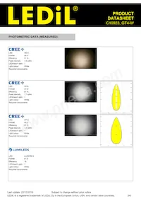 C10923_GT4-W Datasheet Pagina 3