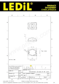 C10924_STRADA-B Datasheet Page 2