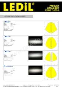 C10946_FLARE-B Datasheet Page 3