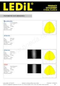 C10946_FLARE-B Datasheet Page 4