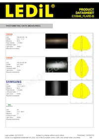 C10946_FLARE-B Datasheet Pagina 5