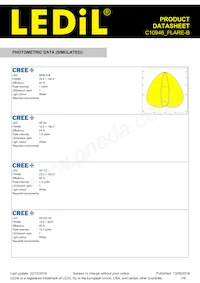 C10946_FLARE-B Datasheet Page 7