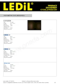 C11242_STRADA-DW Datasheet Page 3