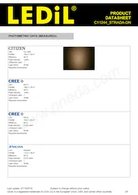 C11244_STRADA-DN Datasheet Page 3