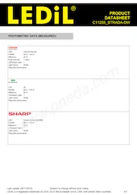 C11255_STRADA-DW Datasheet Page 5