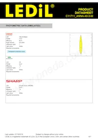 C11711_ANNA-40-3-M Datasheet Pagina 6