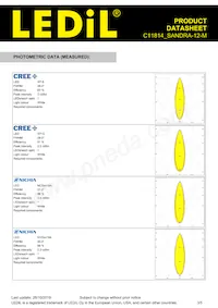 C11814_SANDRA-12-M Datasheet Page 3