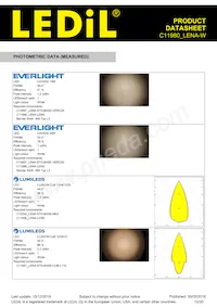 C11980_LENA-W Datasheet Page 12