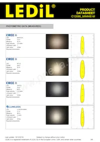 C12095_MINNIE-M Datasheet Pagina 3