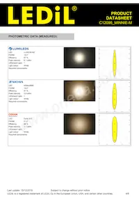 C12095_MINNIE-M Datasheet Pagina 4