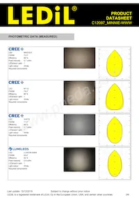 C12097_MINNIE-WWW Datasheet Pagina 3