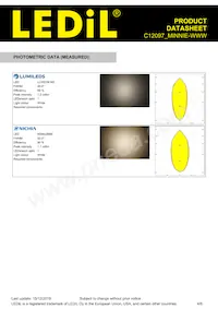 C12097_MINNIE-WWW Datasheet Pagina 4