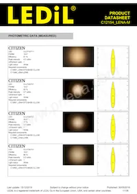 C12154_LENA-M Datasheet Pagina 11