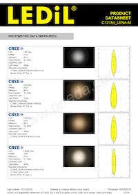 C12154_LENA-M Datasheet Pagina 13