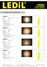 C12154_LENA-M Datasheet Pagina 15