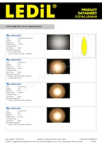 C12154_LENA-M Datasheet Pagina 20