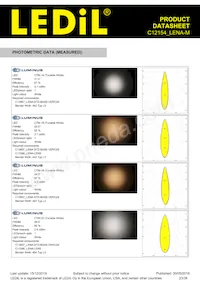 C12154_LENA-M Datasheet Page 23