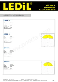 C12226_STRADA-FW Datasheet Page 3