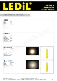 C12285_ANGIE-S Datasheet Page 3