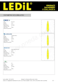 C12285_ANGIE-S Datasheet Page 5