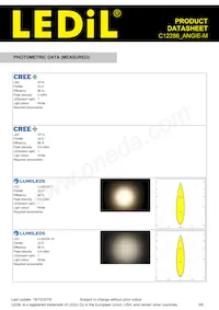 C12286_ANGIE-M Datasheet Page 3
