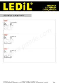 C12286_ANGIE-M Datasheet Page 4