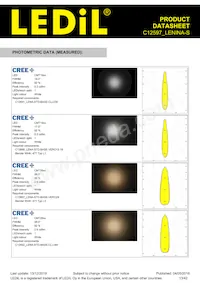 C12597_LENINA-S Datasheet Pagina 13