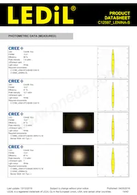 C12597_LENINA-S Datasheet Pagina 14