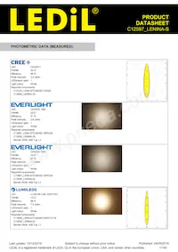 C12597_LENINA-S Datasheet Pagina 17