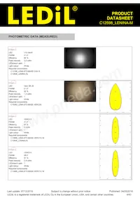 C12598_LENINA-M Datasheet Page 4