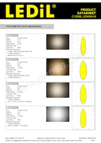 C12598_LENINA-M Datasheet Pagina 8