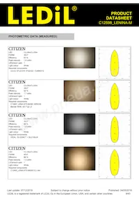 C12598_LENINA-M Datasheet Page 9