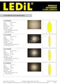 C12598_LENINA-M Datasheet Pagina 10