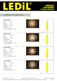 C12598_LENINA-M Datasheet Page 11