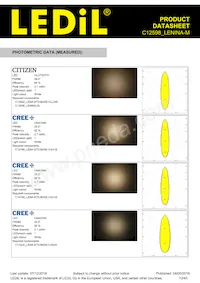 C12598_LENINA-M Datasheet Pagina 12