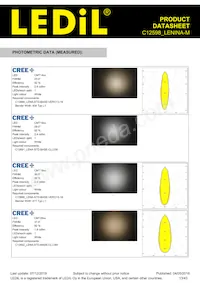 C12598_LENINA-M Datasheet Pagina 13