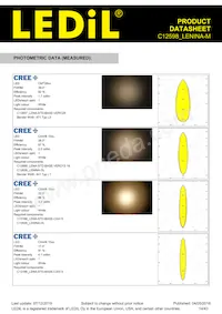 C12598_LENINA-M Datasheet Page 14