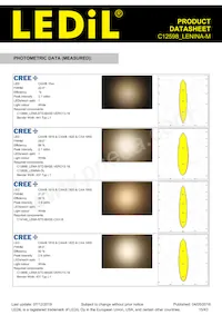 C12598_LENINA-M Datasheet Pagina 15