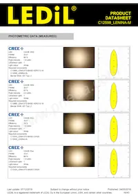 C12598_LENINA-M Datasheet Page 16