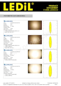 C12598_LENINA-M Datasheet Page 18