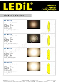 C12598_LENINA-M Datasheet Pagina 19