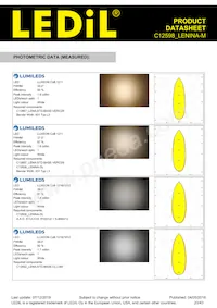 C12598_LENINA-M Datasheet Page 20