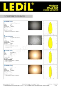 C12598_LENINA-M Datasheet Pagina 21